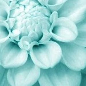 Meet your Posher, Irina